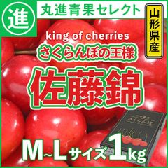 【鮮やかな紅色】さくらんぼ　甘味と酸味のバランス　佐藤錦　さくらんぼの王様　山形県産　約1.0kg　M～Lサイズ　丸進青果セレクト
