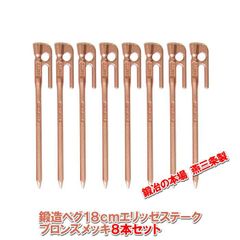 新品未使用】ソリッドステークブロンズ20(4本セット)／スノーピーク