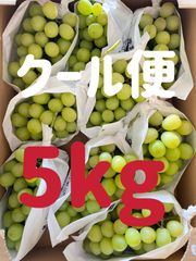 果物　葡萄　ブドウ　ぶどう　シャインマスカット　5kg 大容量　訳あり　SALE