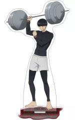 [중고] 아크릴 스탠드 아크릴 패널 매쉬 반데드 아크릴 스탠드 [매쉬 -MASHLE-]