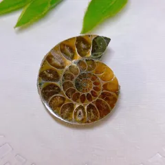 宝石質リング螺化石 アンモナイト遊色綺麗赤17*12mm SV925刻印