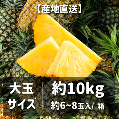 台湾産 金鑚パイナップル｜約10kg：6〜8玉入り【大玉サイズ】高糖度・芯まで柔らか