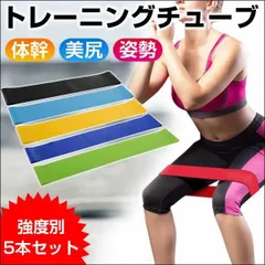 トレーニングチューブ エクササイズゴムバンド 5本セット フィットネス 筋トレ ストレッチ ヨガ 体幹 フィットネスチューブ 翌日配達対応