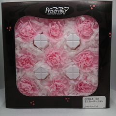 大地農園 ミニカーネーション  シャーベットピンク新品1箱