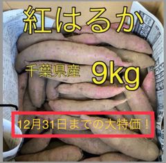 千葉県産さつまいも紅はるか　9kg