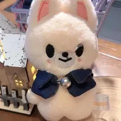 2025年最新】skzoo 10cm フォクシニーの人気アイテム - メルカリ