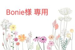 専用出品