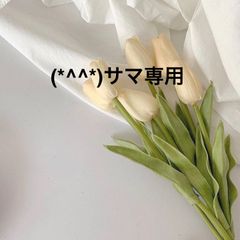 (*^^*)サマ専用