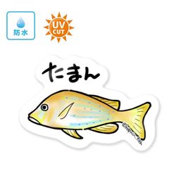 101 タマン【防水&UVカット】釣り好きステッカー☆
