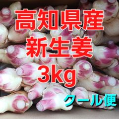 農家直送　高知県産新生姜　3kg (クール便)