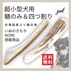 【クーポン発行中】🐶超小型犬用🐶髄のみ＆四つ割り✅2本セット🦌北海道産エゾ鹿の角🦌犬のおもちゃ🐕鹿の骨　A