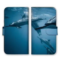 Galaxy S10+ plus SC-04L SCV42 ケース 手帳型 ギャラクシーS10プラス スマホケース 携帯ケース イルカ いるか 海 動物 写真 癒し かわいい おしゃれ カッコイイ カラー10のサムネイル