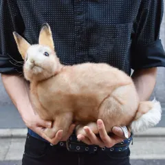 HANSA 7797 ウサギ クリーム 35 全長：35cm RABBIT  BH7797  ぬいぐるみ ハンサ うさぎ 兎 動物 犬 猫 鳥 うさぎ ペンギン アニマル 置物 人形 フィギュア 大きい 実物大 大型