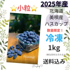 ラストです！北海道　生ハスカップ2キロ 2025年最新】ハスカップの人気アイテム - メルカリ