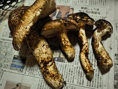 2025年最新】岩泉 松茸の人気アイテム - メルカリ