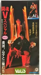 2025年最新】闘魂vスペシャルの人気アイテム - メルカリ