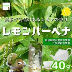 レモンバーベナ　☆農薬や化学肥料は使っておりません　埼玉県産　約４０ｇ（枝つき）