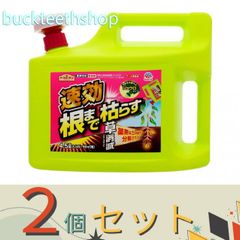 ※２個セット※アース製薬　アースガーデン　アース草消滅　４．５Ｌ　【４】４９０１０８００４７７１７