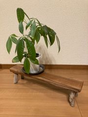 手作り　天然木のナチュラル飾り台