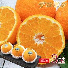 【順次出荷中】送料無料 安心の自社検品 ギフト 贈答用 デコポン 大玉 L・2L サイズ 3玉 和歌山県産 でこぽん 和歌山みかん 佐賀県 佐賀 愛媛県 愛媛 熊本県 熊本 みかん 国産 国産みかん ご家庭用 みかん ご自宅用 果物 くだもの フルーツ