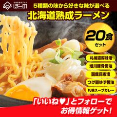 北海道産 小麦使用 ラーメン 送料無料 【札幌熟成.ラーメン20食セット.】 北海道 札幌 らーめん 詰め合わせ 味噌 みそ 塩 醤油 つけ麺 スープカレー味 訳あり 食品 お取り寄せグルメ 有名店 ご当地 お土産 業務用