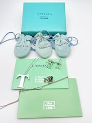 Tiffany＆Co/ティファニー　Tロゴ　ラージイニシャル　ロングネックレス/カフス/ピン　3点セット　ペンダント　シルバー925/silver925　FC-sgc003