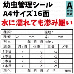 幼虫管理ラベルA「血統」16面10シート160枚 オオクワガタ飼育用品 クワガタ