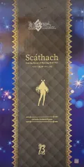 FREEing Fate/Grand Order スカサハ 刺し穿つバニーVer 再販版