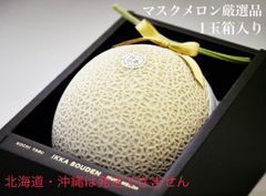「マスクメロン厳選品」1玉箱入り