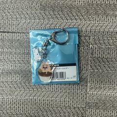 SKZOO スキズ ランダムアクリルキーホルダー HAN QUOKKA(ハンクワッカ) ハン