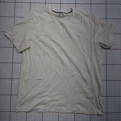 ◇ ⊂ エーグル シンプル系 半袖 半袖Ｔシャツ サイズL ホワイト系 レディース E  【1509100031024】