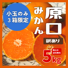 【⚠️小玉のみ⚠️訳ありみかん】原口みかん 産地直送 箱込約5kg 送料込み