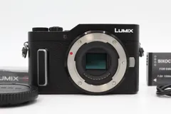 2024年最新】Panasonic LUMIX dc-gf10の人気アイテム - メルカリ