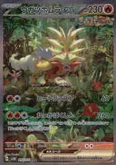 093/071/SV5K/B/SAR ウガツホムラex