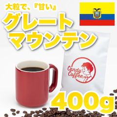 【 400g 】グレートマウンテン　CandyCoffee　キャンディコーヒー　コーヒー豆　自家焙煎　/  エクアドル原産 グレートマウンテン 珈琲豆 珈琲  メルカリShops店
　#人気メニュー