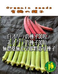 白オクラの種子と赤オクラの種子　各30粒　固定種・有機の種子セット　無農薬無化学肥料栽培のタネ
