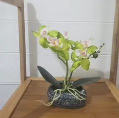 【数量限定】フェイク 石鉢インテリア シルクフラワー 船型の鉢植 胡蝶蘭 新築祝い 胡蝶蘭 お開店祝いギフトに最適 卓上型 プレゼント 造花 敬老の日 光触媒加工 (石鉢 人工観葉植物 緑)