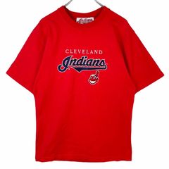 1087 USA Fruit Cortland Dragons Gray Tee - メルカリ
