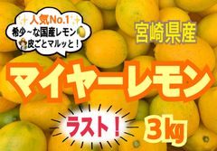 【ラスト❣️】マイヤーレモン3㎏/レモン　みかん　きんかん　果物　国産レモン