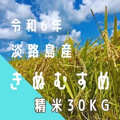 2025年最新】玄米 30Kg 令和6年の人気アイテム - メルカリ