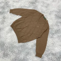 【GOLDEN BEAR】ゴールデンベア 刺繡  Vネック ニット  (M)  カジュアル  一点もの  メンズ  茶系  ブラウン【送料無料】 毛 混のサムネイル