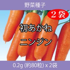 野菜種子 ECK 初あかねニンジン 0.2g (約80粒) x 2袋