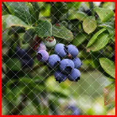 【人気商品】強力ナイロン 15mm極細網目 耐久性 幅2m×縦4m 鳥よけネット 鳥避けネット スズメ対策 防鳥ネット ブルーベリーや野菜などをしっかり守る OFFO 透明なので目立ちにくい