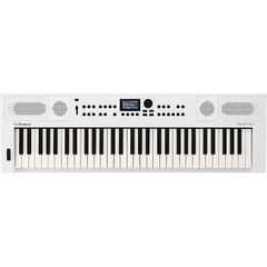 Roland(롤랜드) / GO:KEYS 5 (GOKEYS5-WH) Digital Keyboard - 휴대용 키보드 -