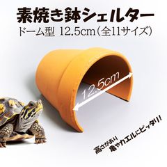 【素焼き鉢 シェルター ドーム型 12.5cm】爬虫類　両生類　 熱帯魚　トカゲ　カメ　ザリガニ　カエル　昆虫　アクアリウム　テラリウム　テラコッタ　陶器　植木鉢　安い　隠れ家　保湿　ヒキガエル　ツノガエル　ハムスター