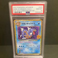 PSA10 ポケモンカード Vユニバース リザードンVSTAR SAR PSA10 最高