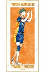 【中古】紙製品 山口忠 「ハイキュー!! トレーディング Ani-Art 第2弾 スタンド付き色紙」