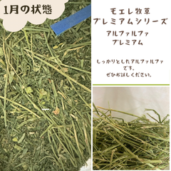 モエレ牧草　アルファルファプレミアム（ダブルプレス）
