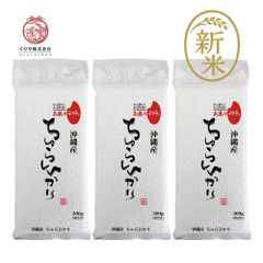 新米 沖縄県産 ちゅらひかり　300g(2合) × 3パック 真空パック お米 オコメール お米のくりや