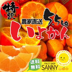 のサムネイル